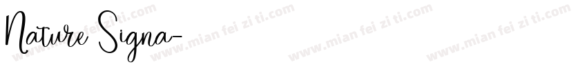 Nature Signa字体转换
